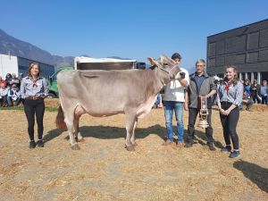 Schneuter ltere und sptere Miss